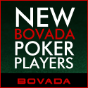 Bodog Poker Room Review